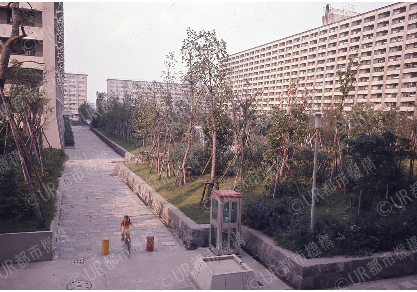 建物遠景