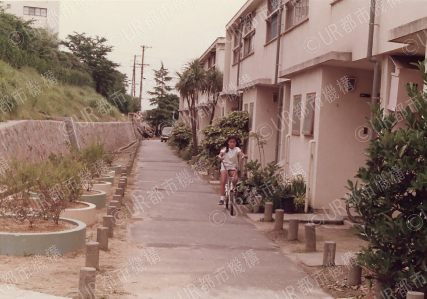 団地内通路