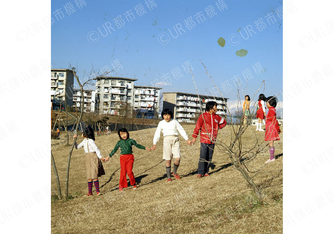 近隣の公園