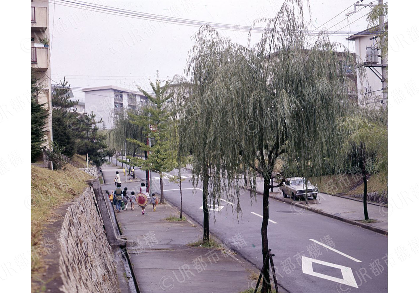 団地内道路