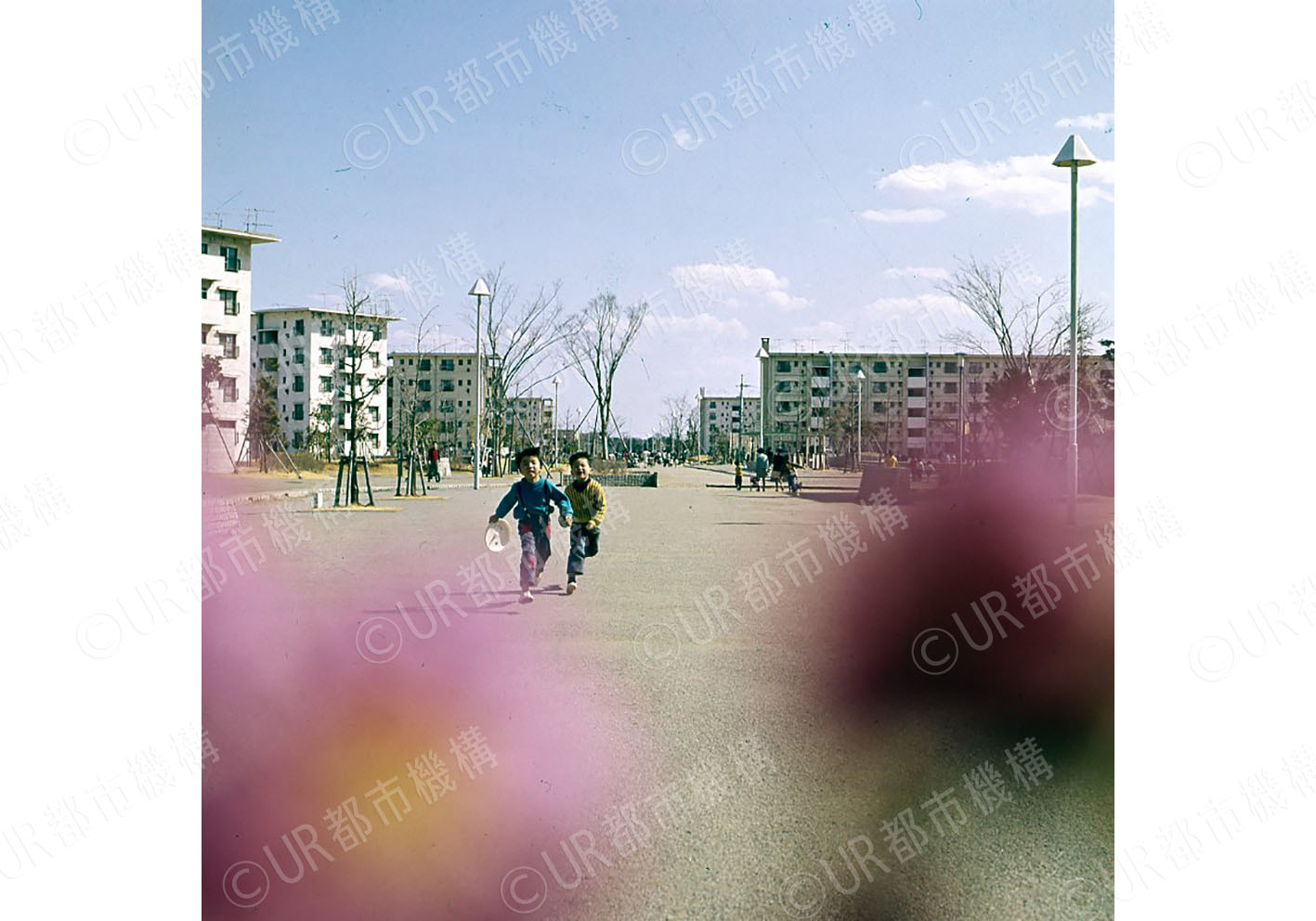 団地内道路