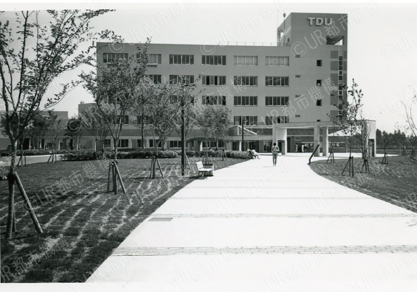 東京電機大学