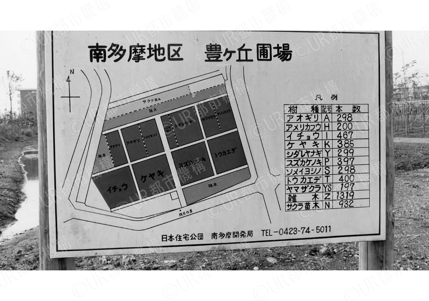 豊ヶ丘圃場区割り図