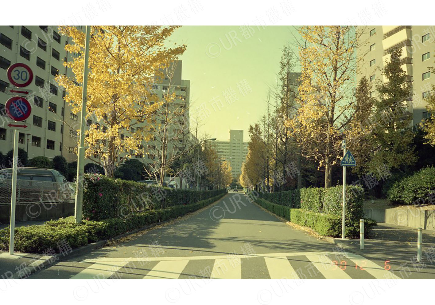 団地外観