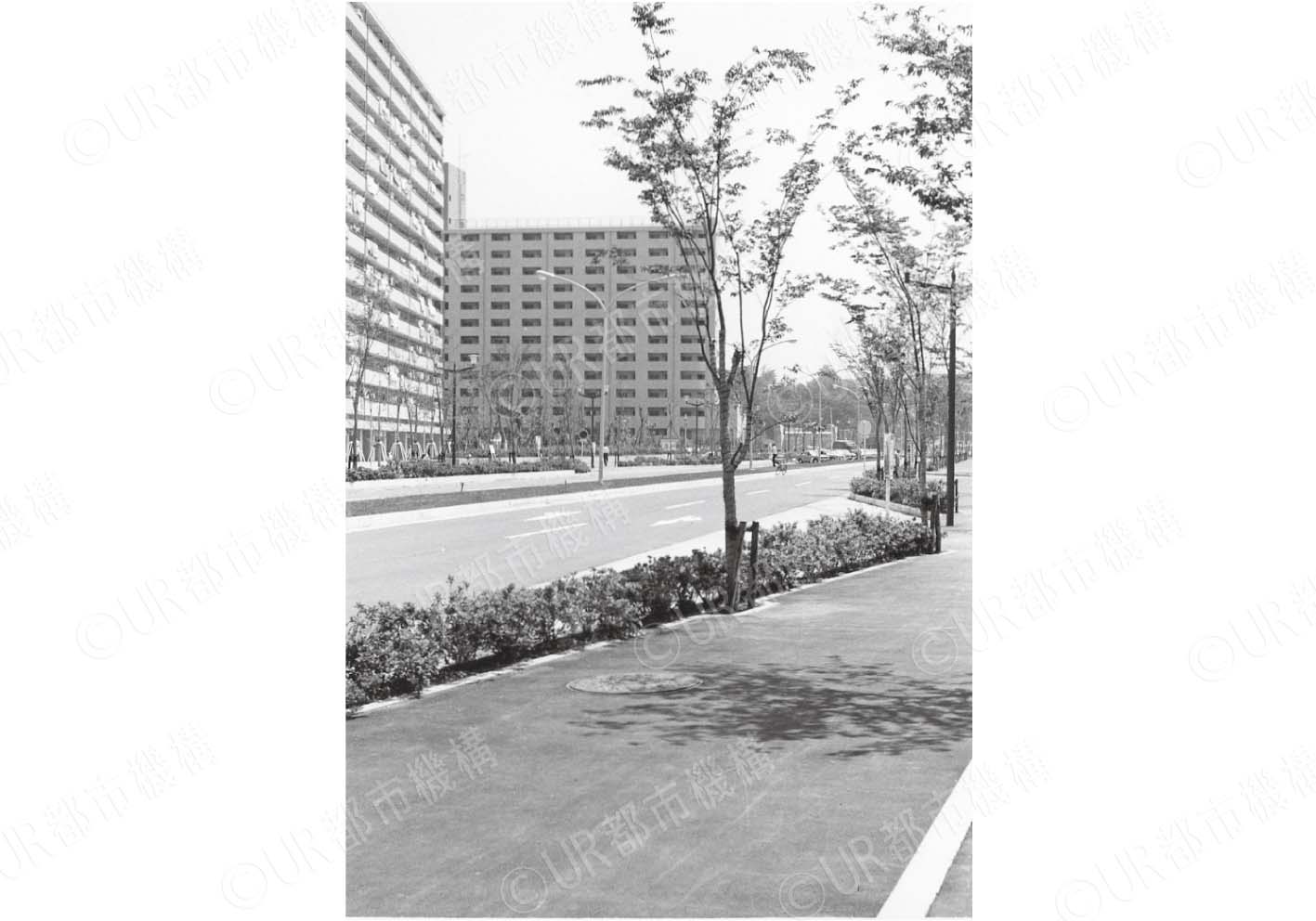 道路整備