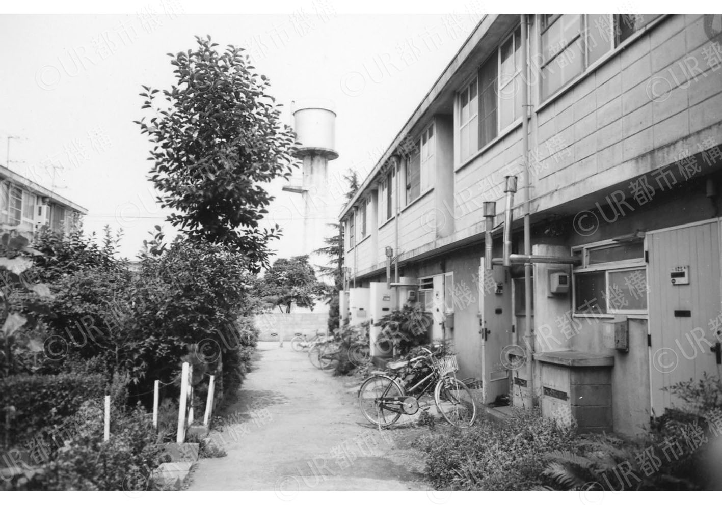 団地外観