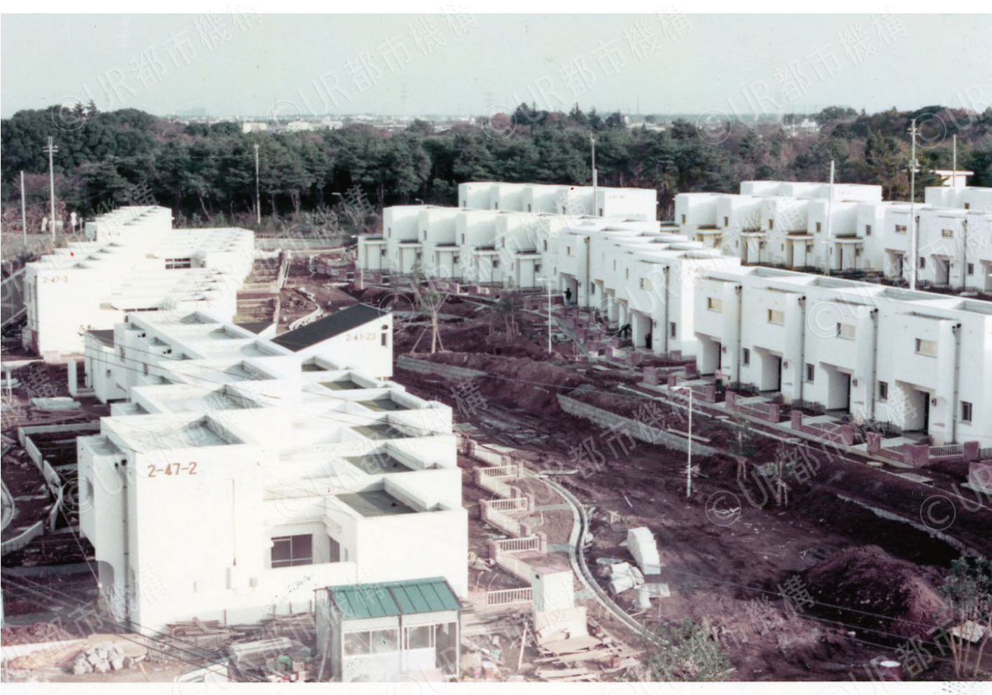 庭付き一戸建て分譲住宅