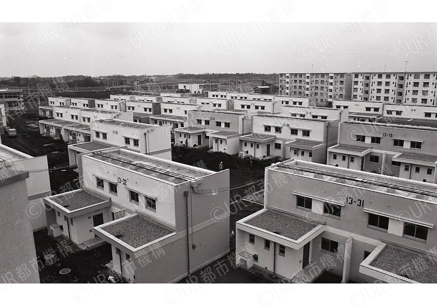 庭付き住宅
