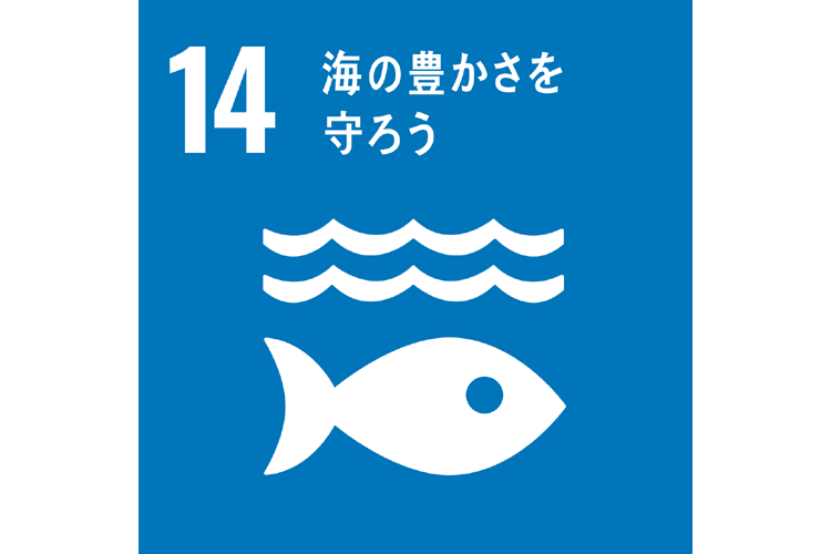 14.海の豊かさを守ろう