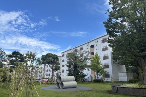 緑地