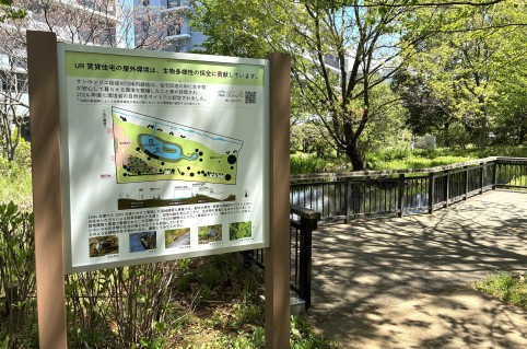 サンヴァリエ桜堤 団地内緑地
