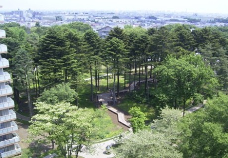 多摩平の森 団地内緑地