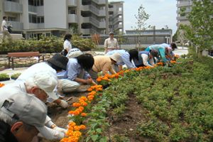 共同花壇のイメージ画像