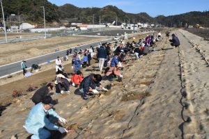 復旧・復興支援　豊間・薄磯地区防災緑地（どんぐりプロジェクト）イメージ写真