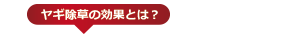 ヤギ除草の効果とは？