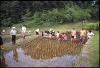 栃谷戸公園