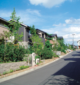 船橋美し学園 芽吹の杜