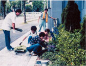 花の植え付け作業