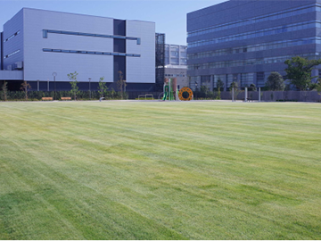 さいたま新都心公園