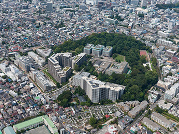 江古田三丁目地区（東京都中野区）