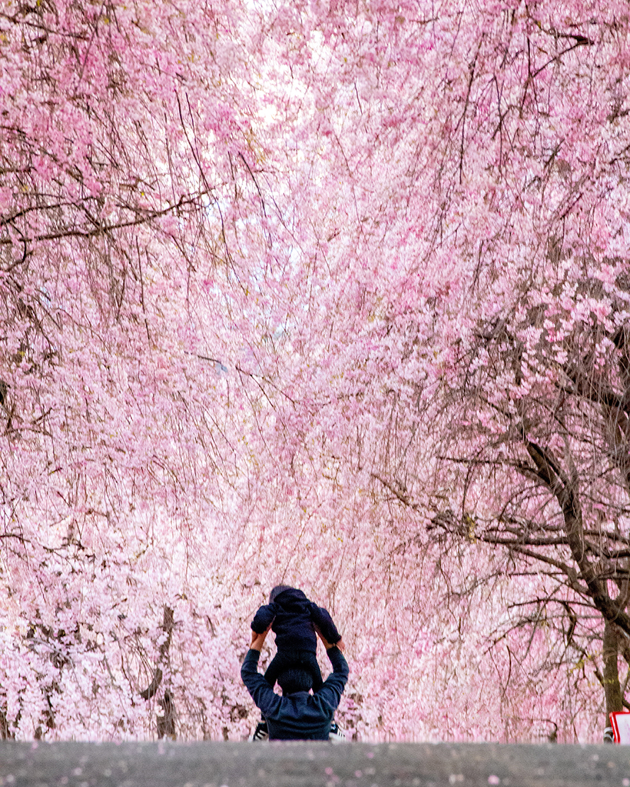 家族の幸せの風景