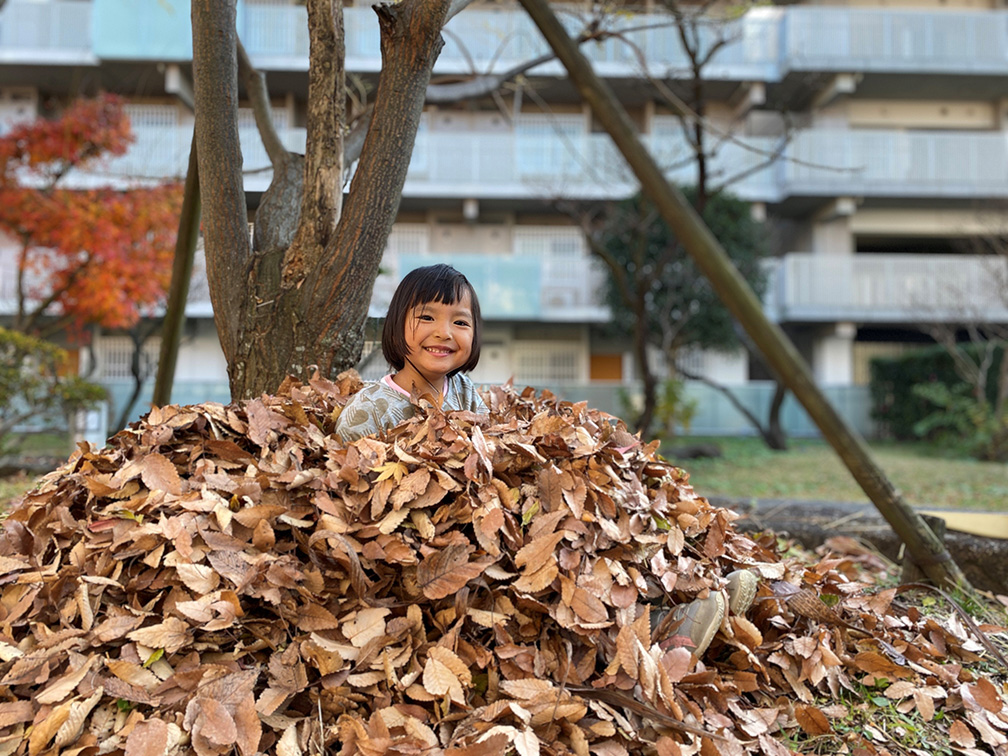 秋ですよ！