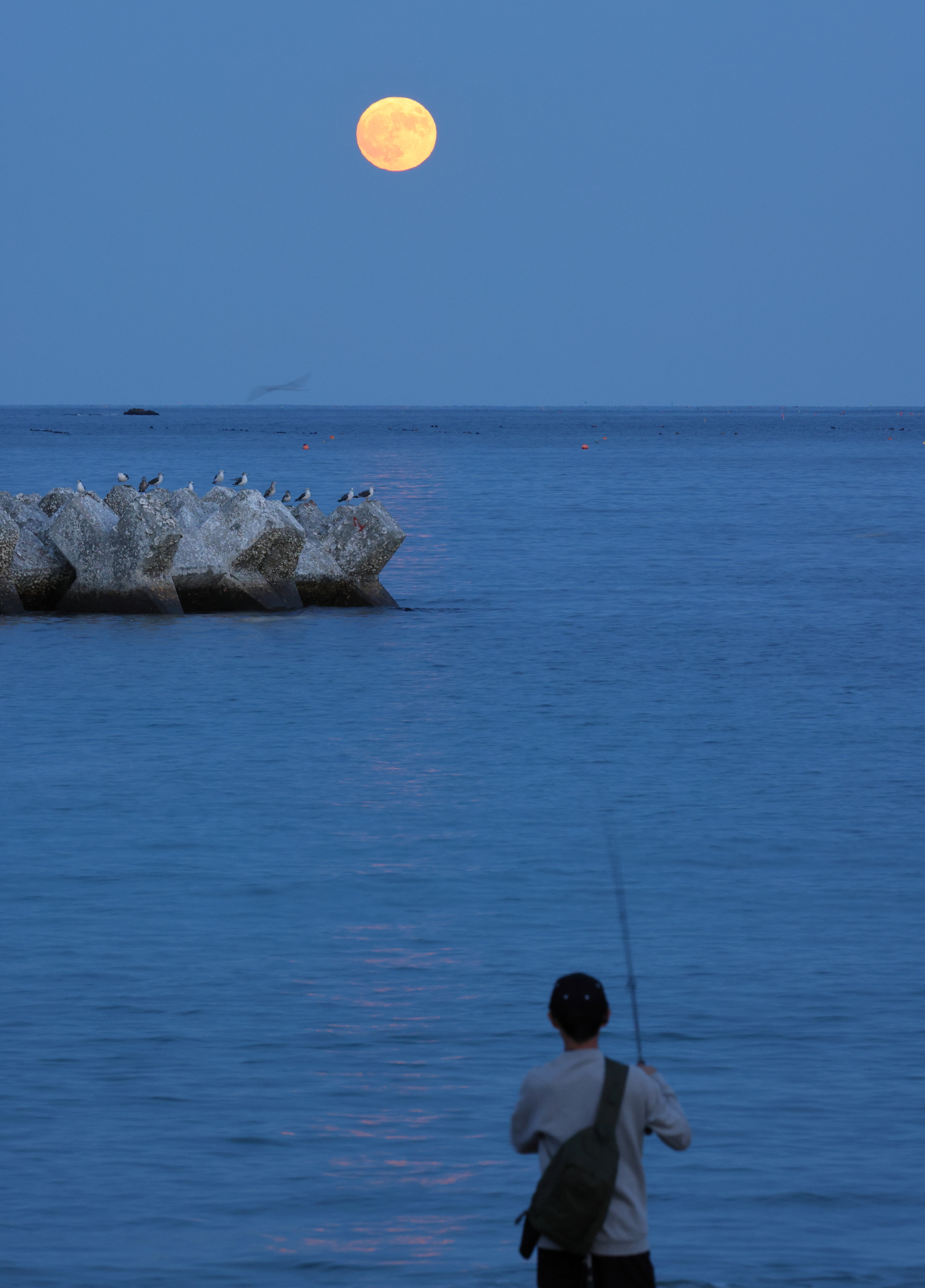 穏やかな三陸の海