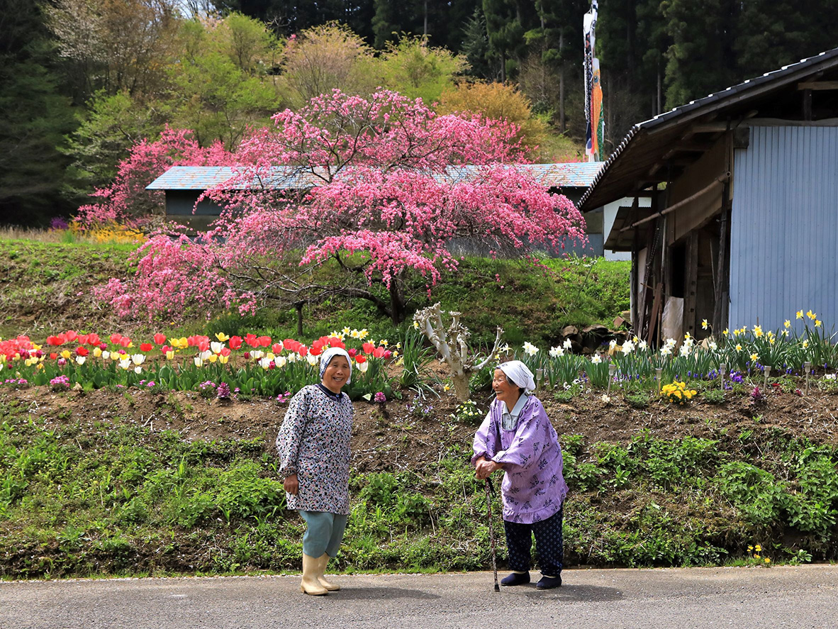 桃花の絆