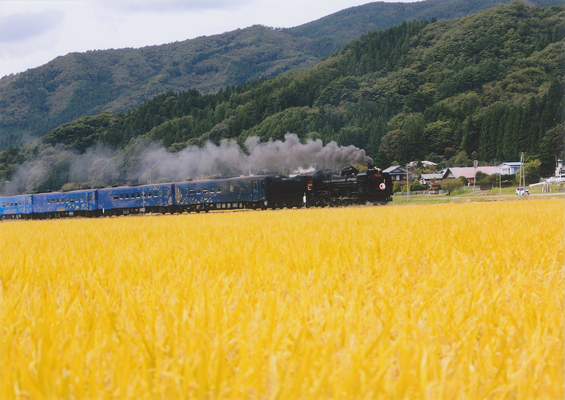 実りの秋を突き進む