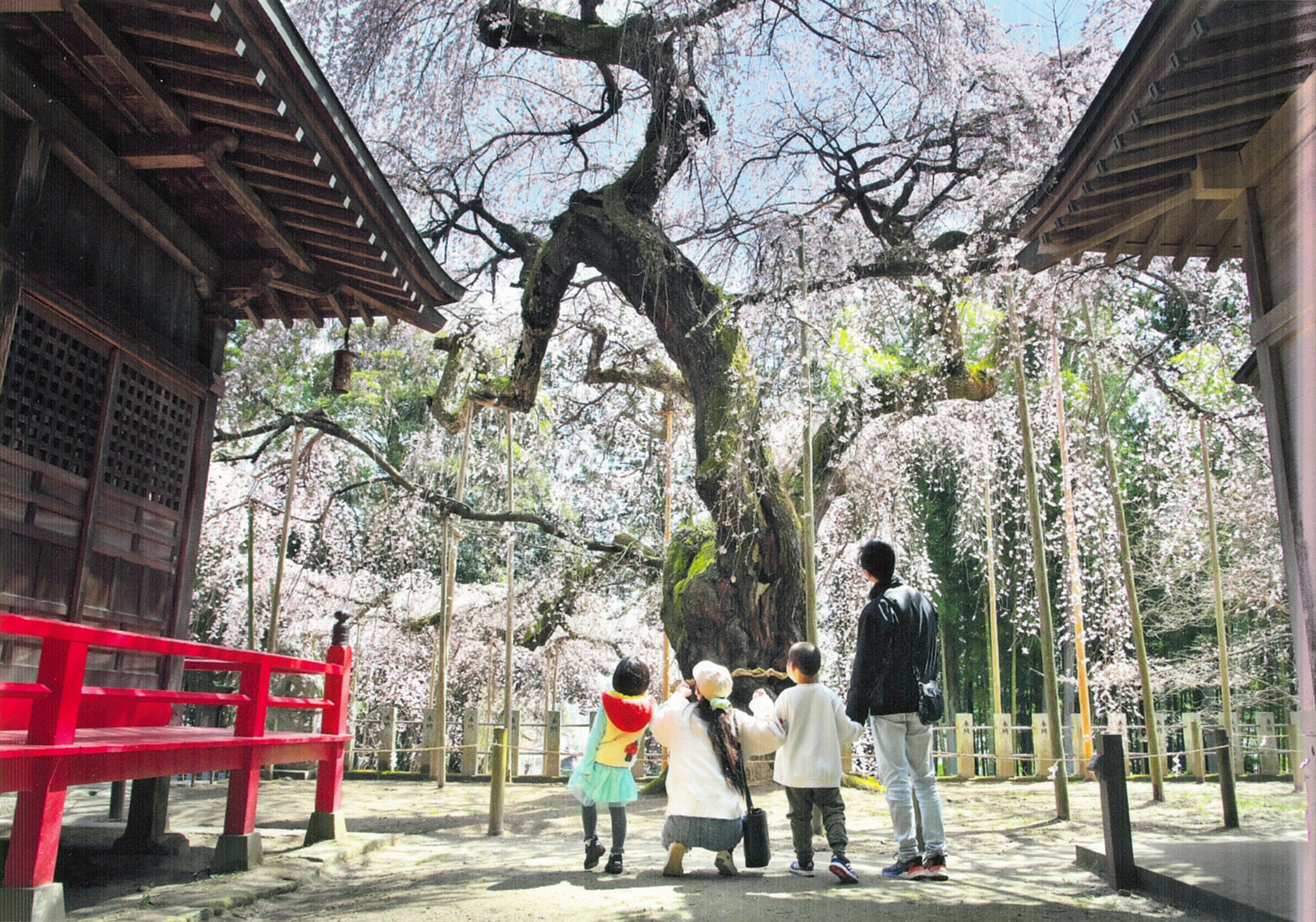 今年もあえたね~