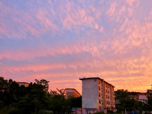団地の今空