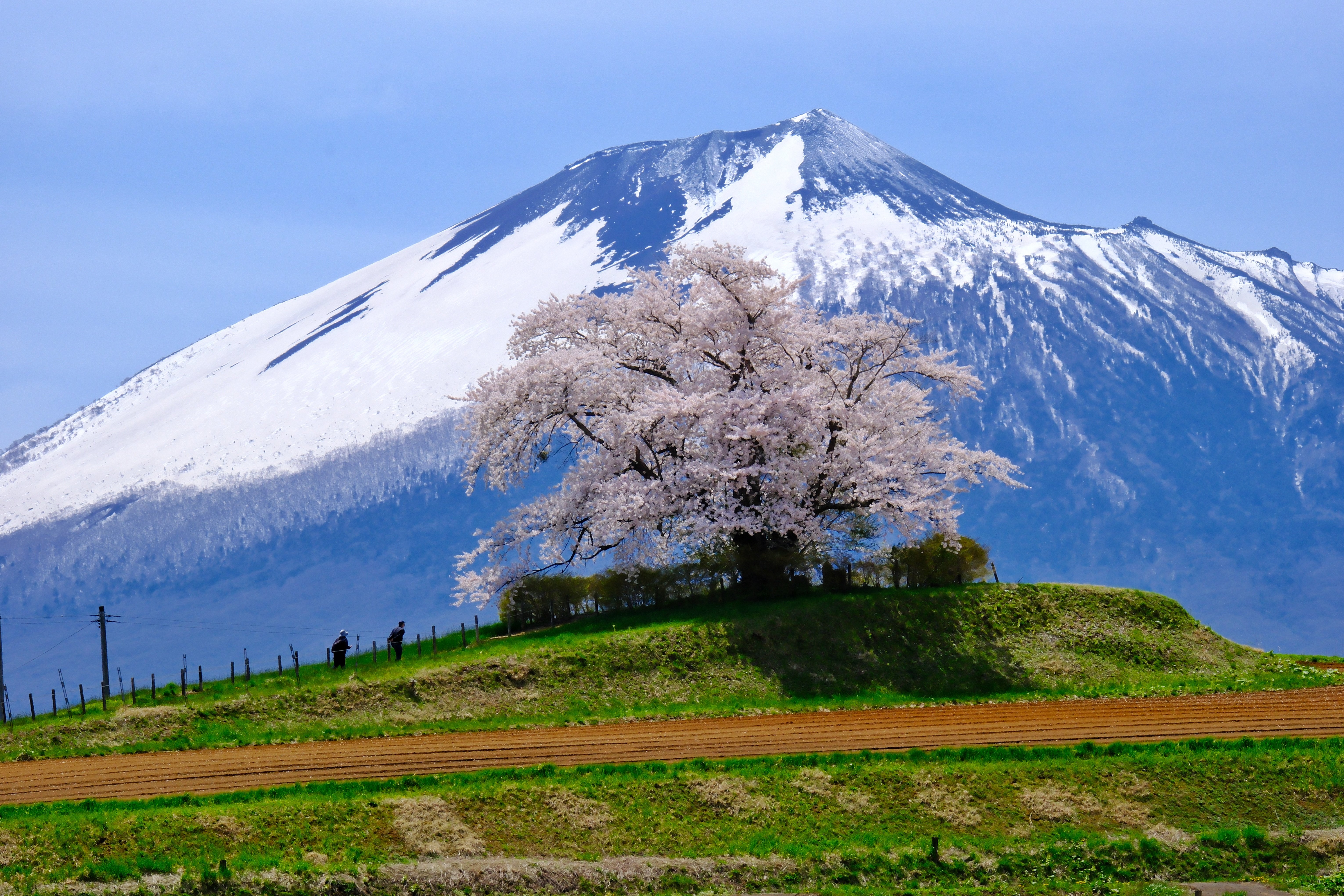 大地の守り神