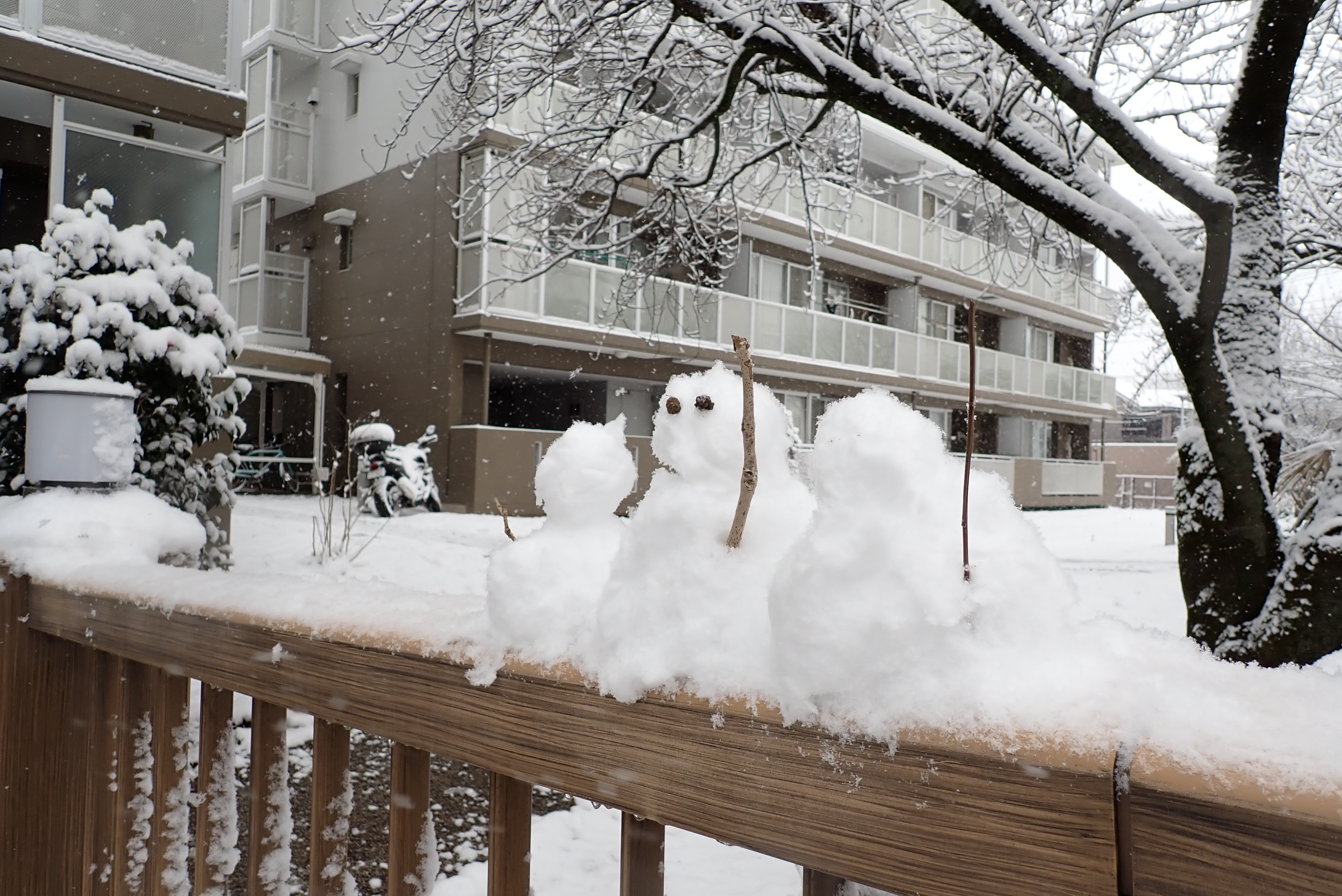雪だるまたち