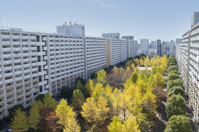 東京都江東区にあるUR大島六丁目団地の外観写真(外部ページへリンク。別ウィンドウで開きます)(別ウィンドウで開きます)