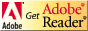 Adobe Reader (別ウィンドウで開きます)