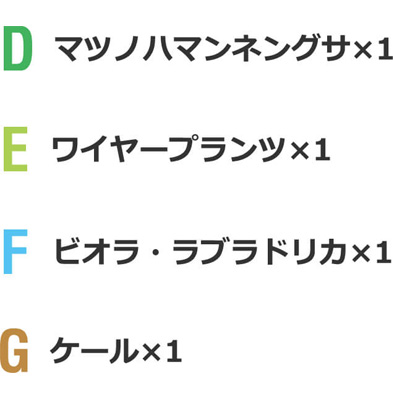 D マツノハマンネングサ×1 E ワイヤープランツ×1 F ビオラ・ラブラドリカ×1 G ケール×1