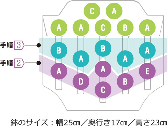 鉢のサイズ：横31㎝／奥行13㎝／高さ13㎝