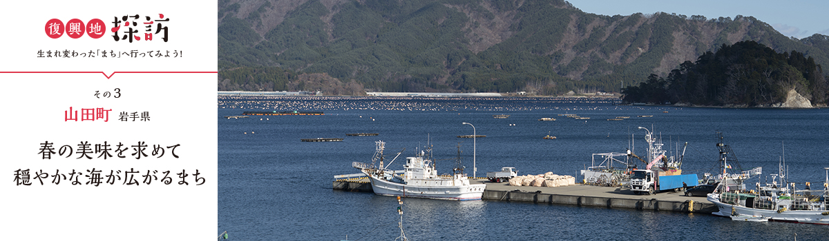 カキやホタテの養殖いかだが浮かぶ山田湾の写真