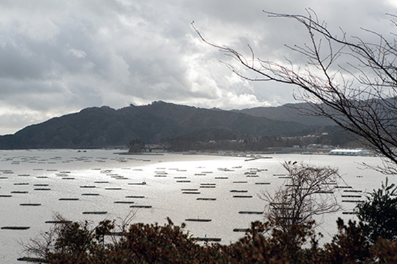 山田湾の画像