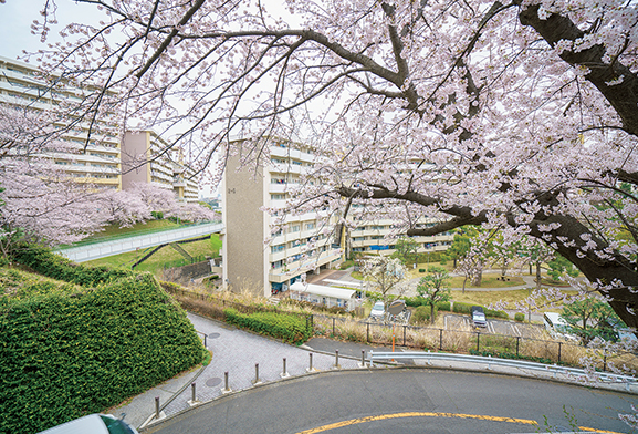 南永田団地の写真