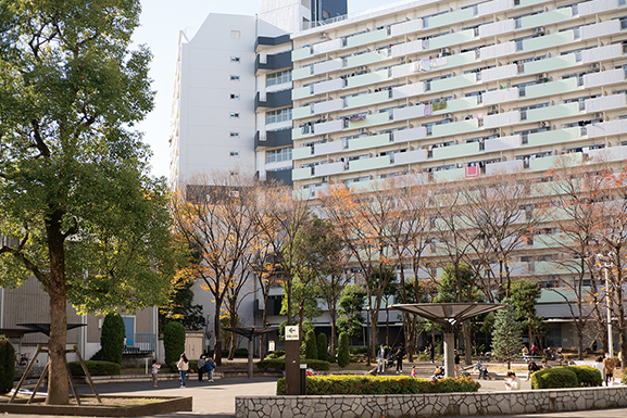 川口芝園団地の画像