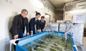 団地での養殖事業を進めるメンバーの様子