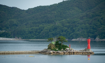 大槌湾に浮かぶ蓬莱島の様子