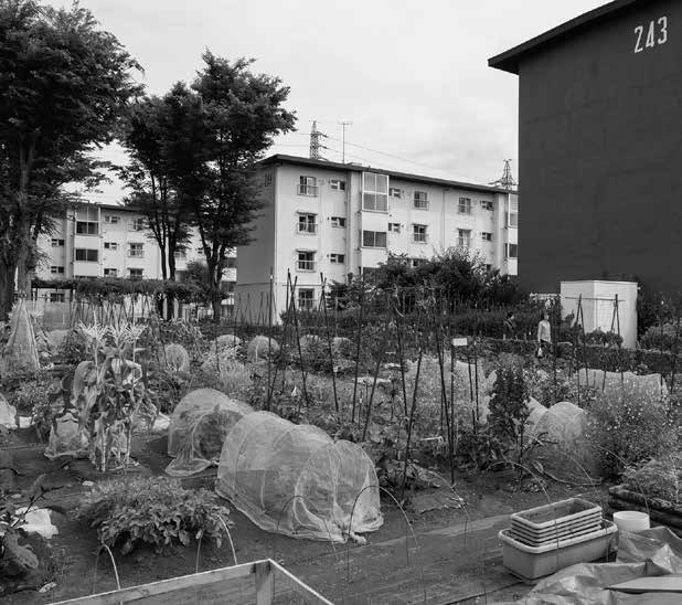 多摩平団地とシェア畑、多摩平ひだまりファームの写真