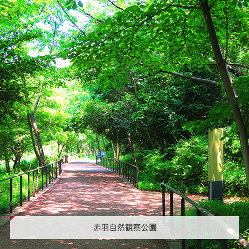 赤羽自然観察公園