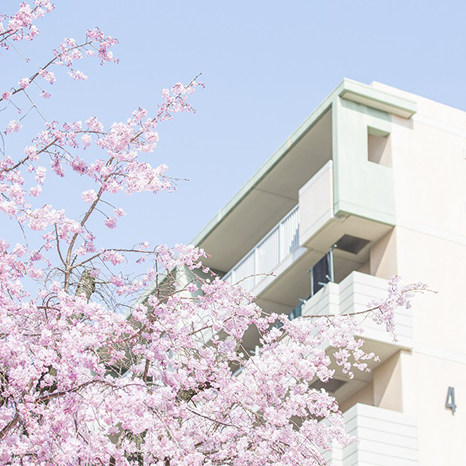 URの景色 -SPRING-イメージ画像