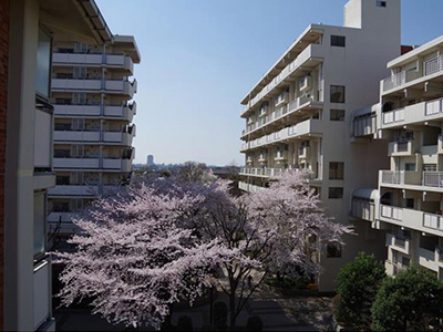 光が丘パークタウン ゆりの木通り北（UR賃貸住宅）