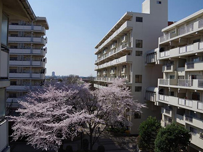 光が丘パークタウン ゆりの木通り北（UR賃貸住宅）