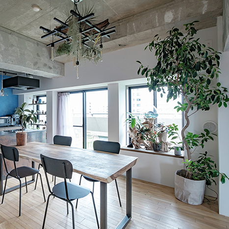 プロ厳選！部屋の印象がアップする「おすすめ植物ランキング」イメージ画像