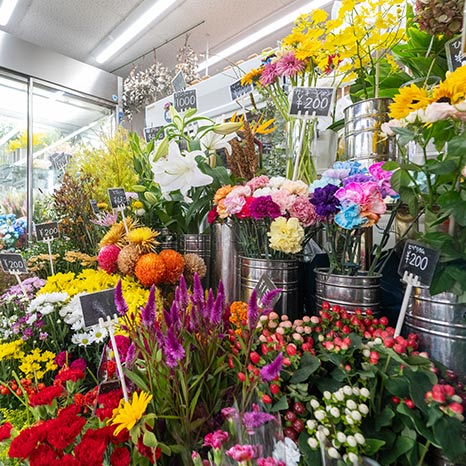 【団地のお店】お客さんを第一に考える、花が大好きな店主が歓迎！鶴山台団地で見つけたお店「花松園芸生花店」イメージ画像